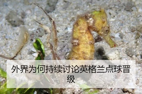 外界为何持续讨论英格兰点球晋级